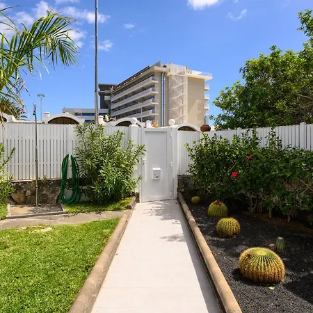 Vina Del Mar Μασπαλόμας