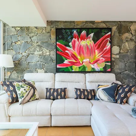 Βίλα Vina Del Mar